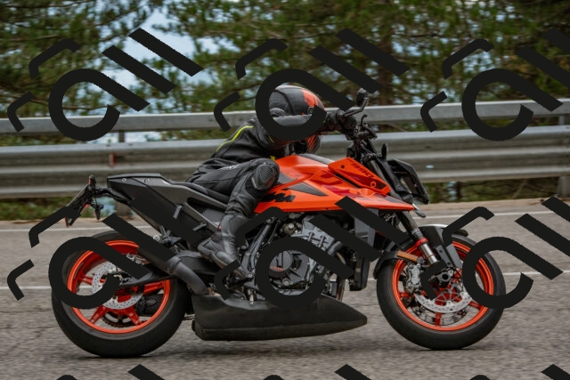 202508231645-DSC_7677_c4_