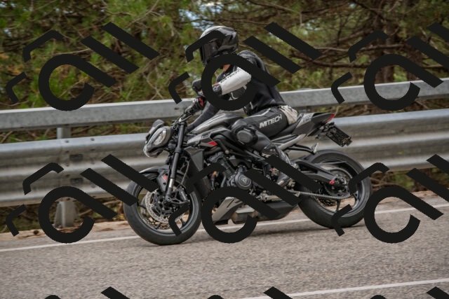 202508231648-DSC_7685_c4_