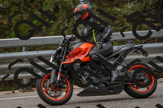 202508231648-DSC_7686_c4_