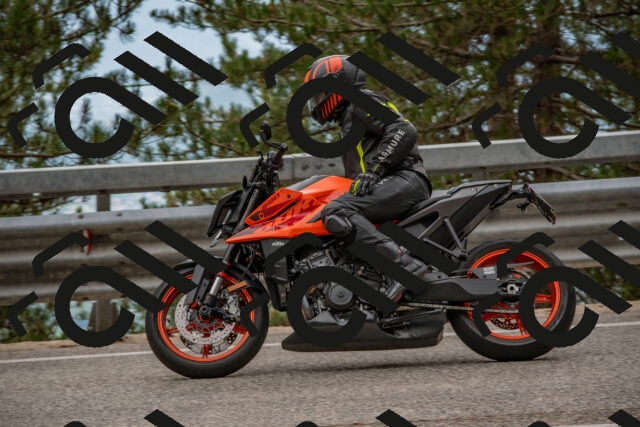 202508231648-DSC_7687_c4_