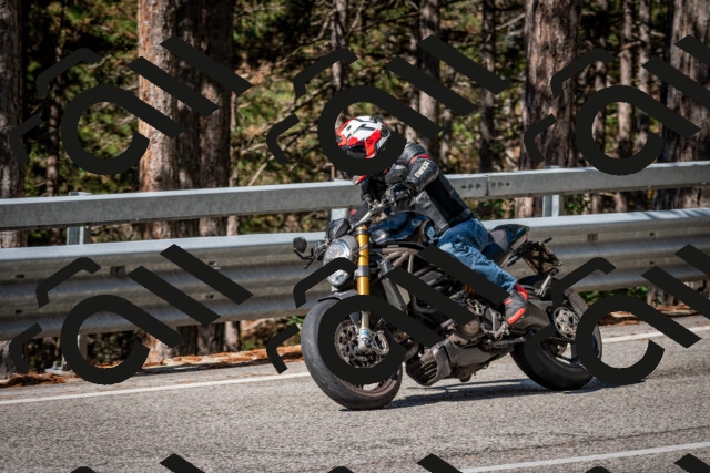 202508241007-DSC_7024_c2