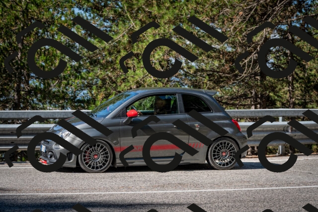 202508241008-DSC_7028_c2