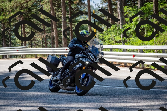 202508241011-DSC_7032_c2