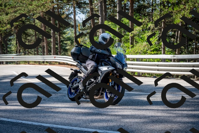 202508241011-DSC_7034_c2