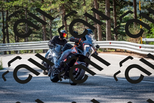 202508241020-DSC_7040_c2