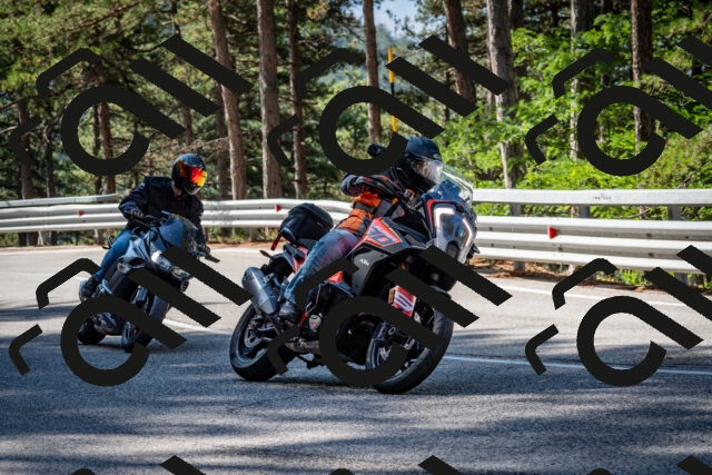 202508241020-DSC_7041_c2