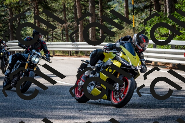 202508241021-DSC_7052_c2