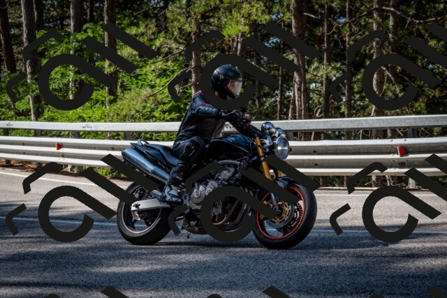 202508241021-DSC_7054_c2