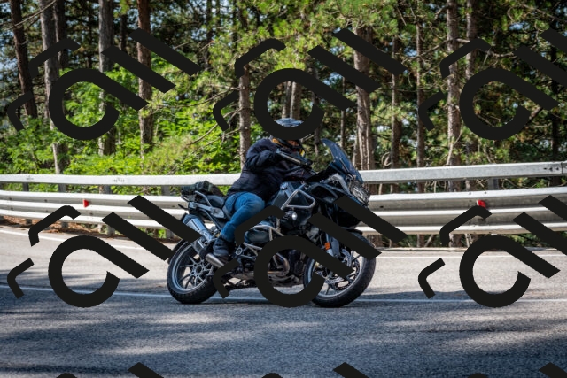 202508241021-DSC_7060_c2