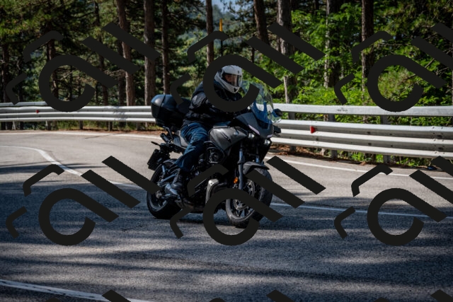 202508241022-DSC_7062_c2