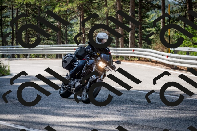 202508241024-DSC_7071_c2