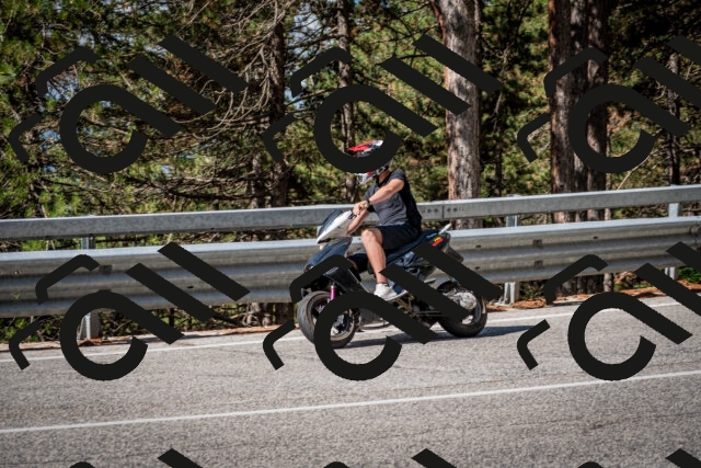 202508241031-DSC_7082_c2