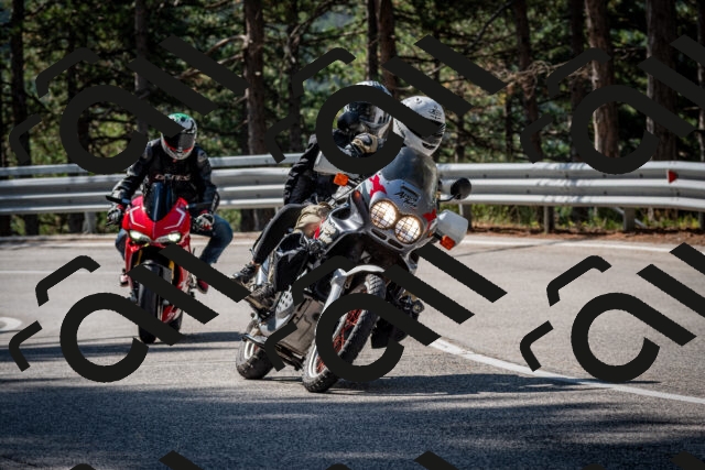 202508241034-DSC_7083_c2