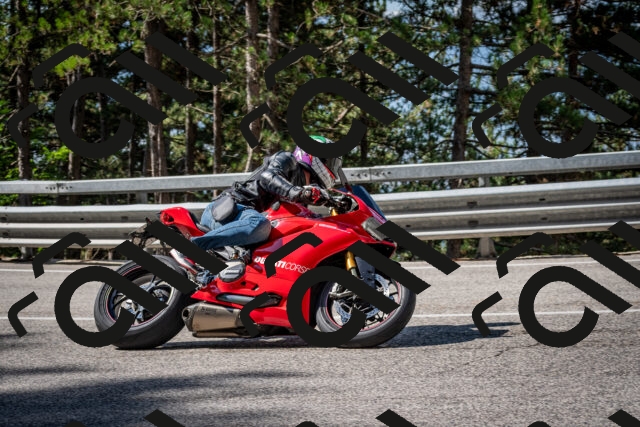 202508241034-DSC_7085_c2