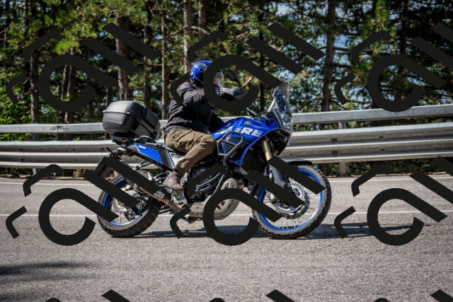 202508241040-DSC_7100_c2