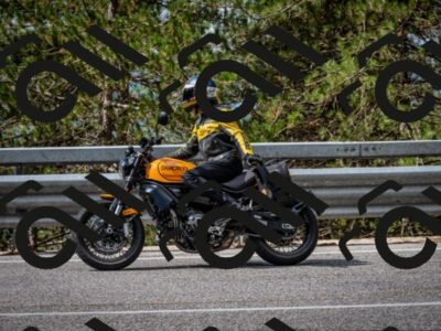 202508241055-DSC_7144_c2