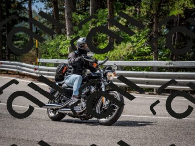 202508241057-DSC_7160_c2