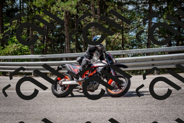 202508241107-DSC_7197_c2