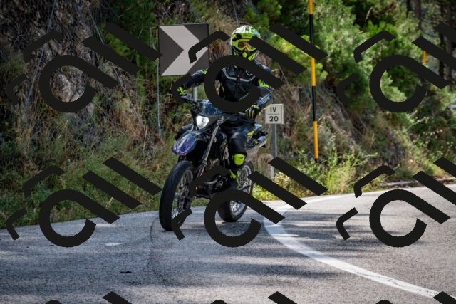 202508241108-DSC_7202_c2