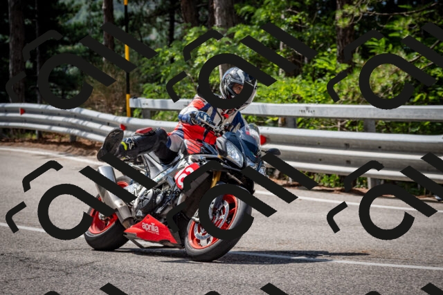 202508241109-DSC_7203_c2