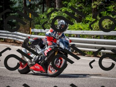 202508241109-DSC_7203_c2