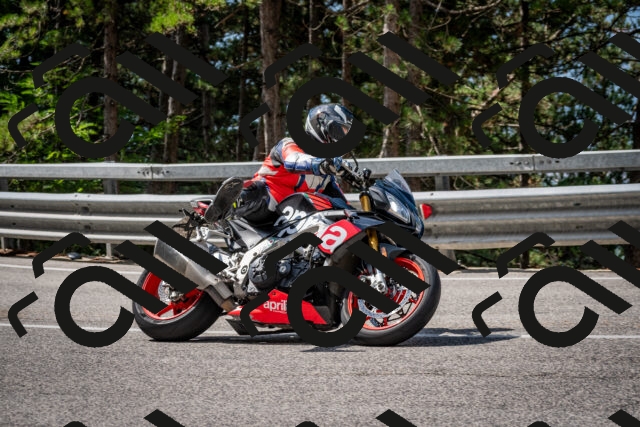 202508241109-DSC_7204_c2