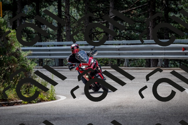 202508241110-DSC_7205_c2