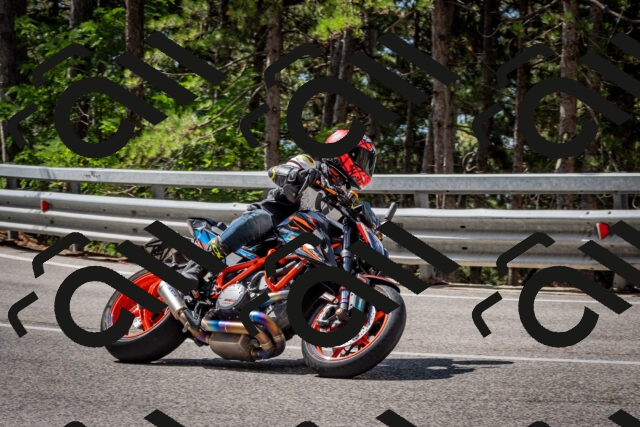 202508241117-DSC_7234_c2