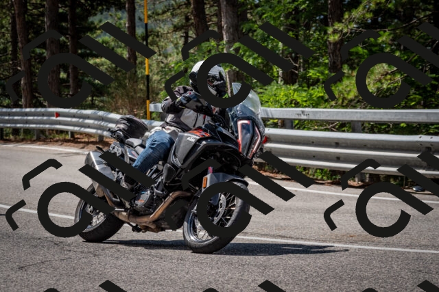 202508241117-DSC_7240_c2