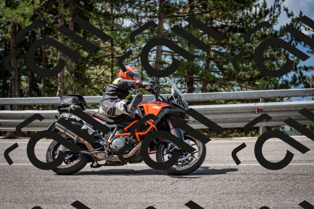 202508241117-DSC_7242_c2