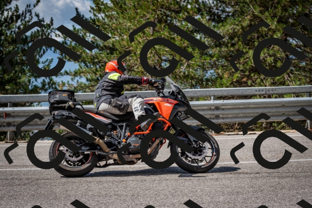 202508241117-DSC_7243_c2