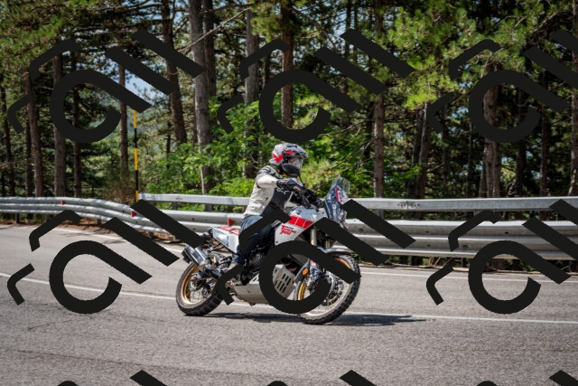 202508241117-DSC_7253_c2