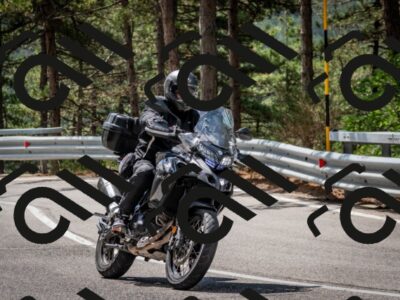 202508241130-DSC_7353_c2