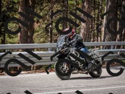 202508241136-DSC_7404_c2