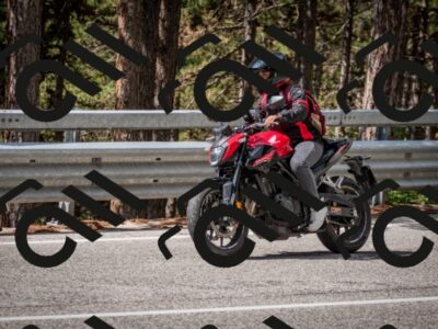 202508241138-DSC_7414_c2