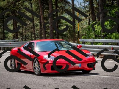 202508241159-DSC_7595_c2