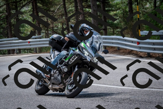 202508241200-DSC_7601_c2