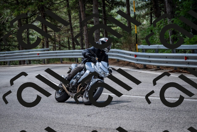 202508241200-DSC_7603_c2