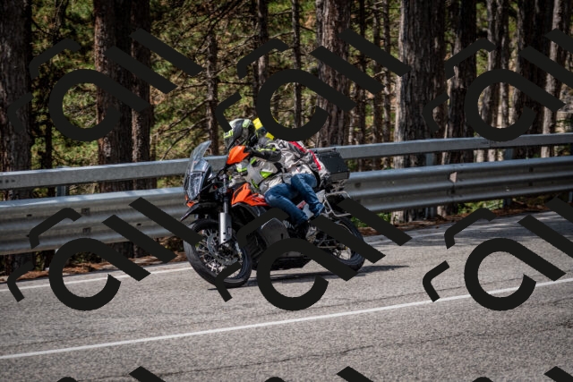 202508241201-DSC_7606_c2