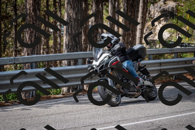 202508241202-DSC_7609_c2