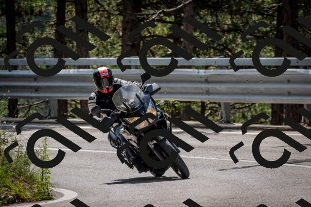 202508241204-DSC_7614_c2