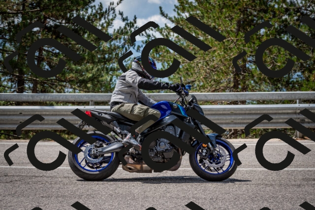 202508241207-DSC_7634_c2