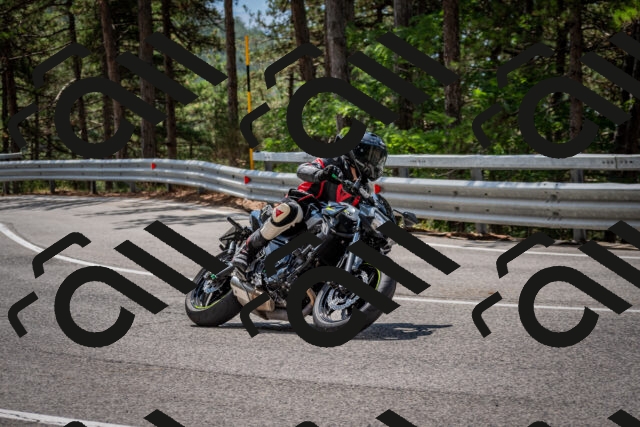 202508241207-DSC_7635_c2