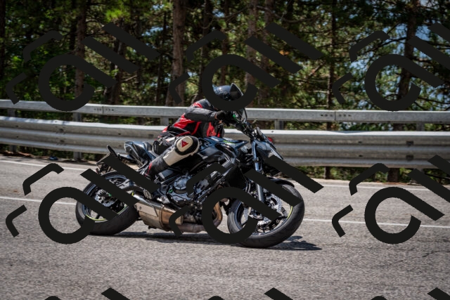 202508241207-DSC_7636_c2