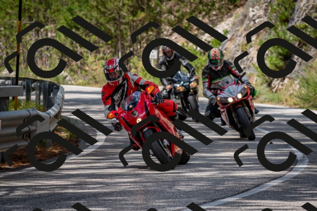 202508241208-DSC_7639_c2