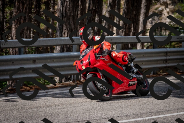 202508241208-DSC_7641_c2