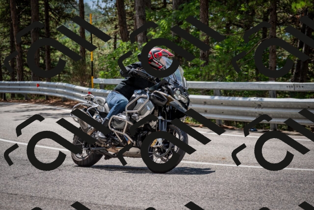 202508241208-DSC_7646_c2