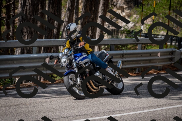 202508241208-DSC_7648_c2