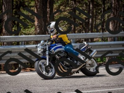 202508241208-DSC_7649_c2