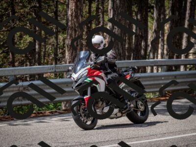 202508241208-DSC_7652_c2